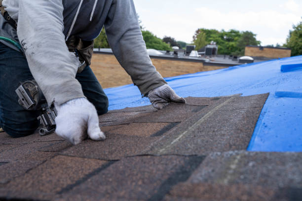 Best Roofing Contractors for Homes  in Montezuma, GA