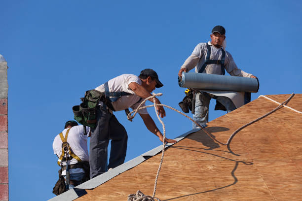 Best Flat Roof Repair Services  in Montezuma, GA