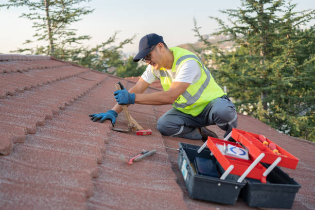 Best New Roof Installation  in Montezuma, GA