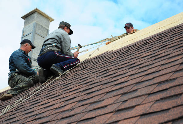 Gutter Installation and Roofing in Montezuma, GA